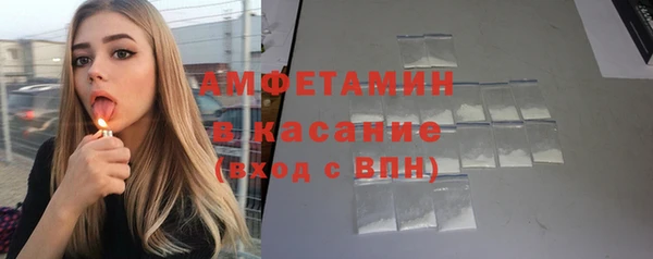 дмт Бородино