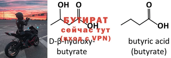 дмт Бородино