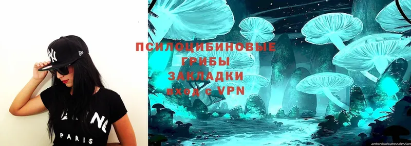 где купить наркотик  Великие Луки  Псилоцибиновые грибы Psilocybe 